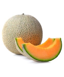 Fresh Produce Melons Each